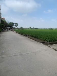 Bán đất thổ cư
